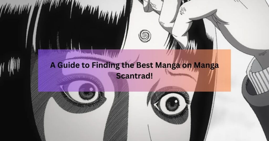 Finding the Best Manga on Manga Scantrad